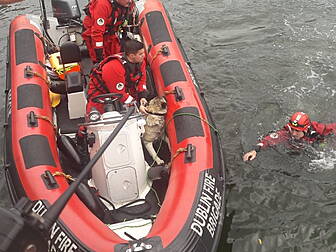 Two People, A Dog, Rescued fro...